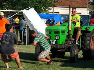 Nova Crnja Dani sela