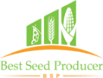 Best Seed Producer