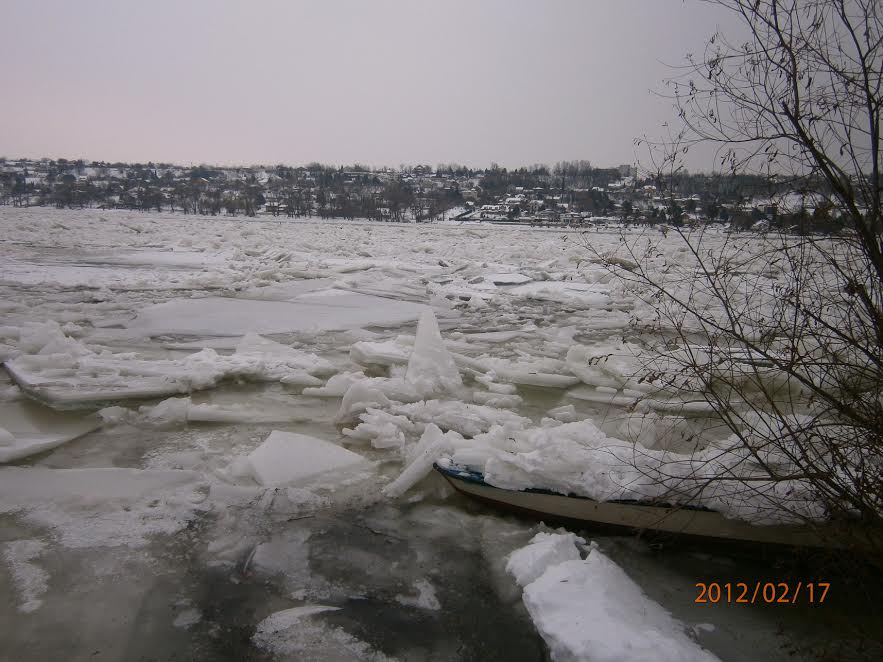 led 2 branislava opranovic